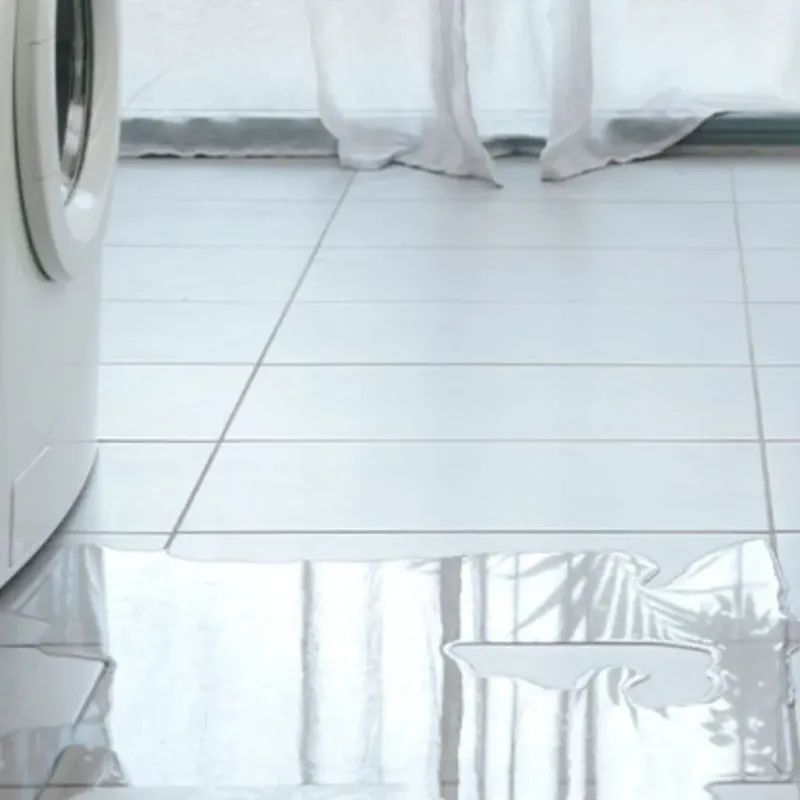 Appliance Leak Cleanup in Lonoke County, AR