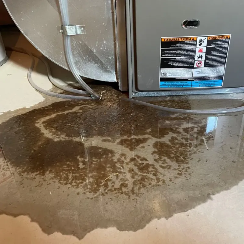 Pipe Burst and Leak Restoration in Lonoke County, AR
