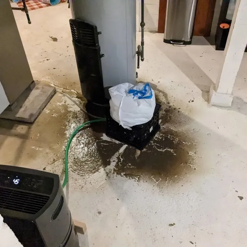 Sewage Backup Cleanup Service in Lonoke County, AR